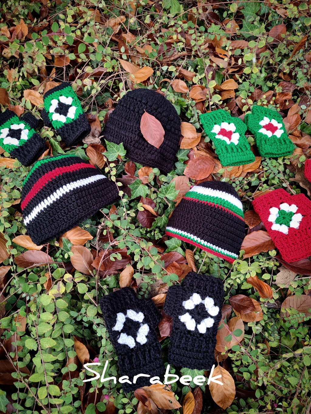 Mitaines+BonneT. UNISEXEs